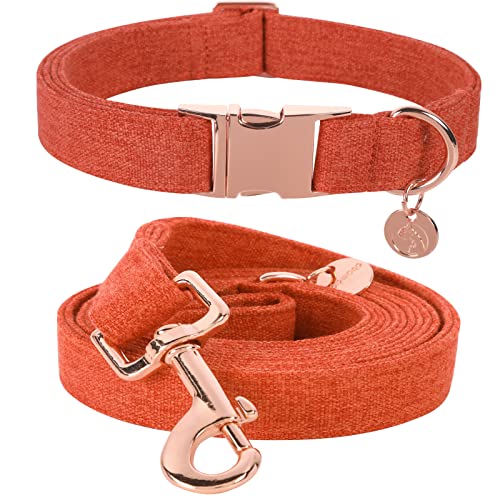 DOGWONG Hundehalsbänder Orange, Hundehalsbänder und Leine aus Orange hundehalsband, Bequeme verstellbares Hundehalsband für kleine mittelgroße Hunde von DOGWONG
