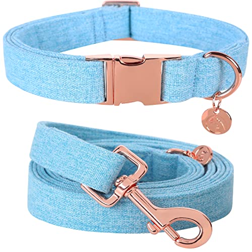 DOGWONG Hundehalsbänder blau, Hundehalsbänder und Leine aus blau hundehalsband, Bequeme verstellbares Hundehalsband für kleine mittelgroße Hunde von DOGWONG