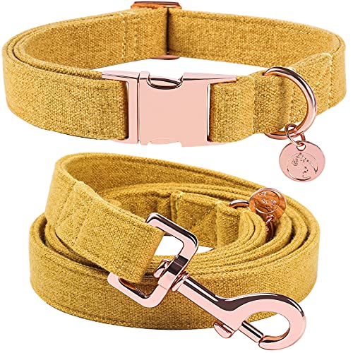 DOGWONG Hundehalsbänder gelb, Hundehalsbänder und Leine aus gelb hundehalsband, Bequeme verstellbares Hundehalsband für kleine mittelgroße Hunde von DOGWONG
