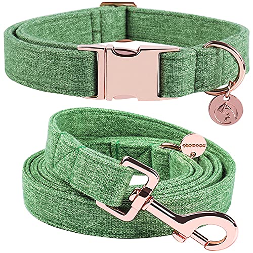 DOGWONG Hundehalsbänder grün, Hundehalsbänder und Leine aus grün hundehalsband, Bequeme verstellbares Hundehalsband für kleine mittelgroße Hunde von DOGWONG