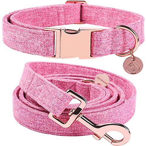 DOGWONG Hundehalsbänder rosa, Hundehalsbänder und Leine aus rosa hundehalsband, Bequeme verstellbares Hundehalsband für kleine mittelgroße Hunde von DOGWONG