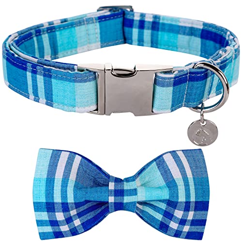 DOGWONG Hundehalsband mit Abnehmbarer Fliege, Blaues Plaid Haustierhalsband Hundefliege Geschenk für Mädchen oder Jungen Hunde, Bequeme verstellbares Hundehalsband für kleine mittelgroße Hunde von DOGWONG