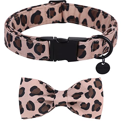 DOGWONG Hundehalsband, Haustierhalsband Hundefliege Geschenk für Mädchen oder Jungen Hunde, Bequeme verstellbares Hundehalsband für kleine mittelgroße Hunde von DOGWONG