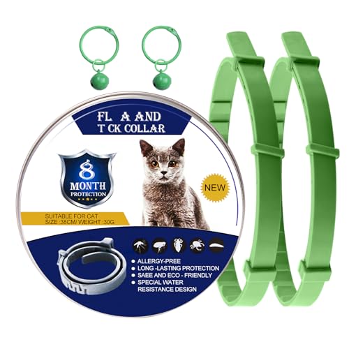 DOINEUFL 2er-Pack Halsband für Katzen, Katzenhalsband zur Vorbeugung von Infektionen, 38,1 cm, sicheres, wasserdichtes, verstellbares Katzenhalsband mit Glöckchen, Alter über 7 Wochen, enthält DOINEUFL 2er-Pack Halsband für Katzen, Katzenhalsband zur Vorbeugung von Infektionen, 38,1 cm, sicheres, wasserdichtes, verstellbares Katzenhalsband mit Glöckchen, Alter über 7 Wochen, enthält von DOINEUFL