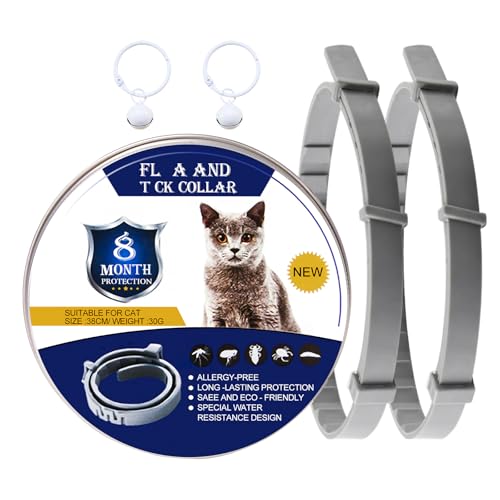 DOINEUFL 2er-Pack Halsband für Katzen, Katzenhalsband zur Vorbeugung von Infektionen, 38,1 cm, sicheres, wasserdichtes, verstellbares Katzenhalsband mit Glöckchen, Alter über 7 Wochen, enthält DOINEUFL 2er-Pack Halsband für Katzen, Katzenhalsband zur Vorbeugung von Infektionen, 38,1 cm, sicheres, wasserdichtes, verstellbares Katzenhalsband mit Glöckchen, Alter über 7 Wochen, enthält von DOINEUFL