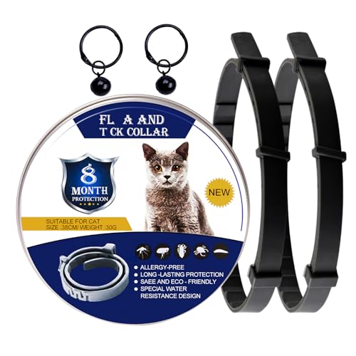 DOINEUFL 2er-Pack Halsband für Katzen, Katzenhalsband zur Vorbeugung von Infektionen, 38,1 cm, sicheres, wasserdichtes, verstellbares Katzenhalsband mit Glöckchen, Alter über 7 Wochen, enthält DOINEUFL 2er-Pack Halsband für Katzen, Katzenhalsband zur Vorbeugung von Infektionen, 38,1 cm, sicheres, wasserdichtes, verstellbares Katzenhalsband mit Glöckchen, Alter über 7 Wochen, enthält von DOINEUFL