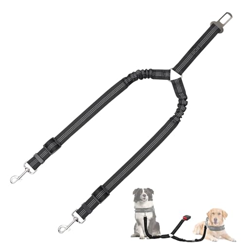 DOINEUFL Doppelter Hunde-Sicherheitsgurt, 70 cm, verstellbar, elastisch, reflektierend, strapazierfähiges Nylon mit Bungee-Puffer, 2-in-1-Hunde-Sicherheitsgurte für Autos, Reisen, den täglichen DOINEUFL Doppelter Hunde-Sicherheitsgurt, 70 cm, verstellbar, elastisch, reflektierend, strapazierfähiges Nylon mit Bungee-Puffer, 2-in-1-Hunde-Sicherheitsgurte für Autos, Reisen, den täglichen von DOINEUFL