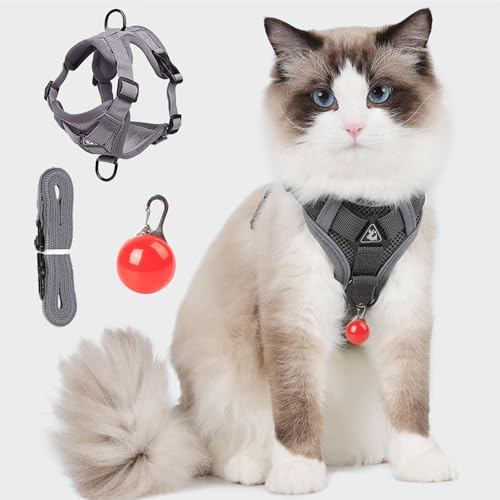 DOINEUFL Katzengeschirr und Leine, verstellbares Katzengeschirr, Katzenleine geeignet für Spaziergänge im Freien für Kätzchen und Welpen, weiches, atmungsaktives Netzgewebe mit reflektierenden von DOINEUFL