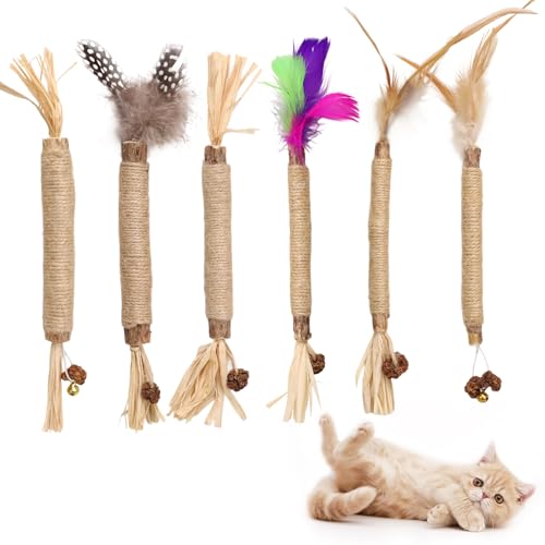 DOINEUFL Silvervine Kaustäbe für Katzen, natürliches Katzenminze-Spielzeug für Indoor-Katzen, Erwachsene, Kätzchen-Zahnspielzeug, lustige Zahnreinigung und Katzenminze-Spielzeug für Katzen, 6 Stück DOINEUFL Silvervine Kaustäbe für Katzen, natürliches Katzenminze-Spielzeug für Indoor-Katzen, Erwachsene, Kätzchen-Zahnspielzeug, lustige Zahnreinigung und Katzenminze-Spielzeug für Katzen, 6 Stück von DOINEUFL
