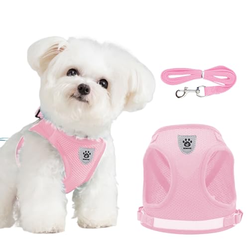 DOINEUFL Welpengeschirr, Hundegeschirr und Leine, weiches Netzgewebe, reflektierend, atmungsaktiv, leicht, Westen-Stil, Hundegeschirr mit Sicherheitsschnalle für kleine und mittelgroße Hunde, Katzen DOINEUFL Welpengeschirr, Hundegeschirr und Leine, weiches Netzgewebe, reflektierend, atmungsaktiv, leicht, Westen-Stil, Hundegeschirr mit Sicherheitsschnalle für kleine und mittelgroße Hunde, Katzen von DOINEUFL
