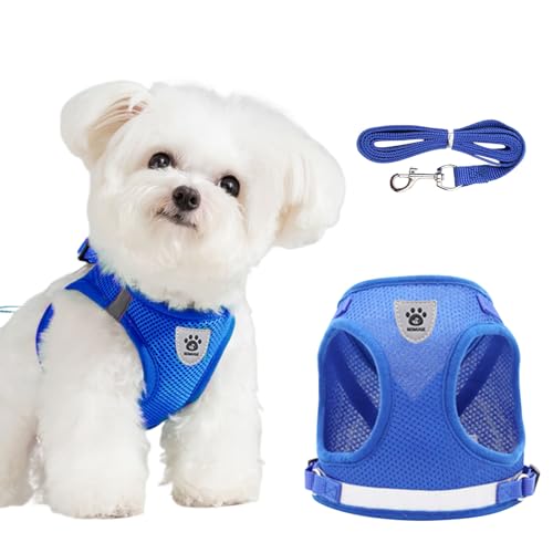 DOINEUFL Welpengeschirr, Hundegeschirr und Leine, weiches Netzgewebe, reflektierend, atmungsaktiv, leicht, Westen-Stil, Hundegeschirr mit Sicherheitsschnalle für kleine und mittelgroße Hunde, Katzen DOINEUFL Welpengeschirr, Hundegeschirr und Leine, weiches Netzgewebe, reflektierend, atmungsaktiv, leicht, Westen-Stil, Hundegeschirr mit Sicherheitsschnalle für kleine und mittelgroße Hunde, Katzen von DOINEUFL