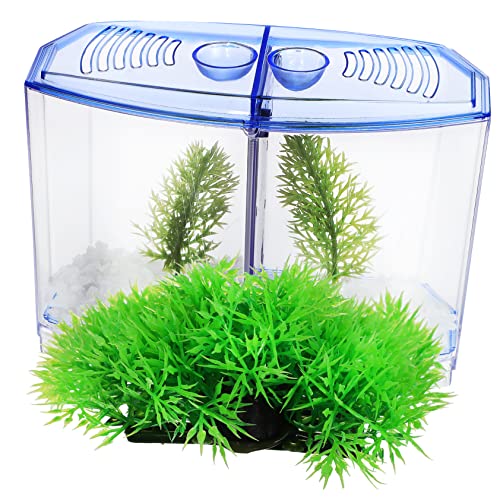 DOITOOL 1 Satz Fischbecken aus Kunststoff Lebende Aquarienpflanzen Süßwasser Mini-Fischdekoration Betta-Aquarium Ornament Mini-Aquarium aus Kunststoff Wasserpflanzen Anlage Zubehör Käfig von DOITOOL