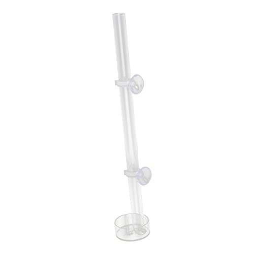 DOITOOL Automatischer Fischfutterautomat 1 Stück 60 Mm Schüssel-Set Garnelen-futterspender Für Frische Aquarien DOITOOL Automatischer Fischfutterautomat 1 Stück 60 Mm Schüssel-Set Garnelen-futterspender Für Frische Aquarien von DOITOOL
