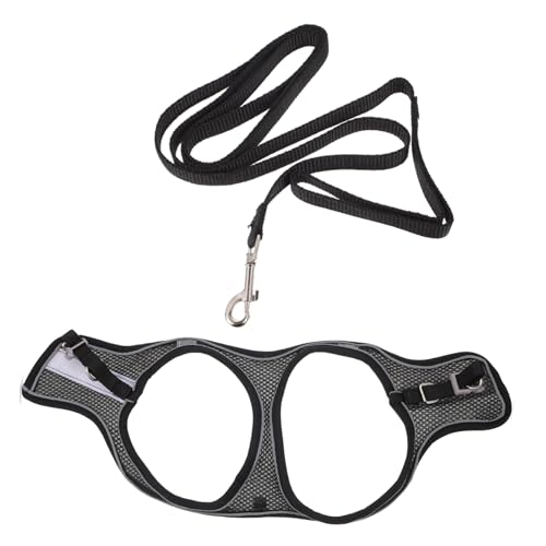 DOITOOL Verstellbare Katzenleine Weiches Zugseil Und Halsband-Set 1 2 M Leine Haustier-Spaziergang von DOITOOL