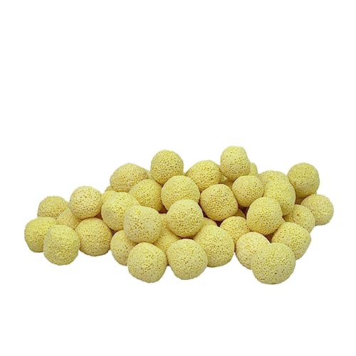 DOITOOL 1 Hamsterrad aus Holz Filterball für Aquarien Bioorb Filter für Aquarien Filterkugel für Aquarien Kugel zum Reinigen Haupt Wagen Aquarium Auto Model Bakterienkugel DOITOOL 1 Hamsterrad aus Holz Filterball für Aquarien Bioorb Filter für Aquarien Filterkugel für Aquarien Kugel zum Reinigen Haupt Wagen Aquarium Auto Model Bakterienkugel von DOITOOL
