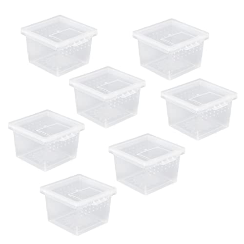 10 Stück Schachtel Futterbox für Reptilien Glas-Container Tiere aus Glas Eidechsen Mini-Reptilbehälter Kriechhaus Spinne Inkubator Einsiedlerkrebs Fütterungsbox Muschelschale Gecko von DOITOOL