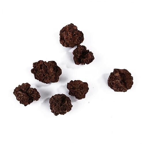 DOITOOL 10st Spielzeug Haustier Snacks Für Katzen DOITOOL 10st Spielzeug Haustier Snacks Für Katzen von DOITOOL