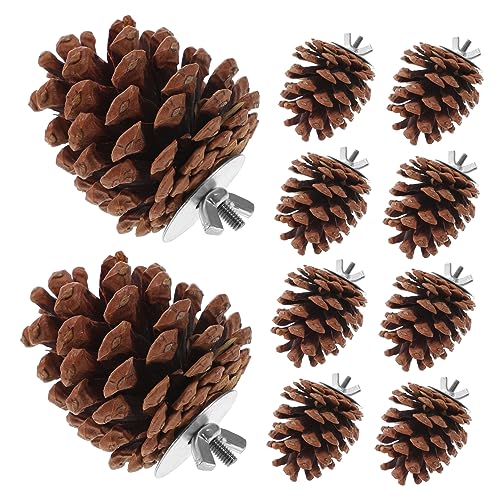 DOITOOL 10st Kauspielzeug Für Vögel Papagei Hängendes Beißspielzeug Vogel Papagei Spielzeug Sittichspielzeug Zum Aufhängen Großes Vogelspielzeug Kiefernzapfen Kauen Käfig DOITOOL 10st Kauspielzeug Für Vögel Papagei Hängendes Beißspielzeug Vogel Papagei Spielzeug Sittichspielzeug Zum Aufhängen Großes Vogelspielzeug Kiefernzapfen Kauen Käfig von DOITOOL