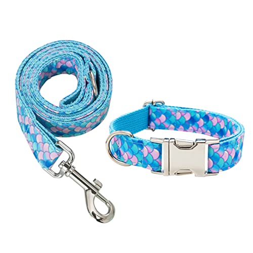 DOITOOL 1Stk Welpen Basic-Halsband für Haustiere Hundegeschirr pet Supplies Hundehalsbänder für mittelgroße Hunde Nylongeschirr Bleileine Hündchen Gürtel Kettenblatt Lieferungen von DOITOOL