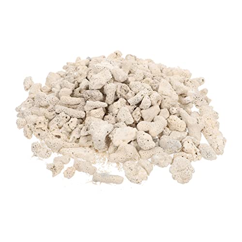 DOITOOL 2 Packungen Korallenstein Korallenblock vulkanischer Kies Aquarium-Layout-Dekore Ornament Aquarienverzierung Filtersteinverzierung Tier schmücken Matten dekorativer Stein Weiß DOITOOL 2 Packungen Korallenstein Korallenblock vulkanischer Kies Aquarium-Layout-Dekore Ornament Aquarienverzierung Filtersteinverzierung Tier schmücken Matten dekorativer Stein Weiß von DOITOOL