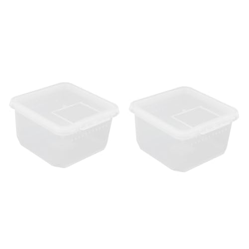 2Er-Box Futterbox für Reptilien Käfig pp Mini-Reptilbehälter Tier Mini-Insektenträger Reptilienzubehör füttern Container Zubehör für Reptilien Terrarium Muschelschale Fütterungsbox von DOITOOL