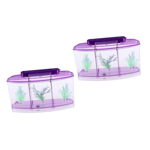 2st Goldfischglas Desktop-Aquarium Ökologisches Aquarium Aquarien Für Kinder Selbstreinigendes Aquarium Kinder Fischbecken Mini-Aquarium Büro Violett Schreibtisch Betta-Panzer von DOITOOL