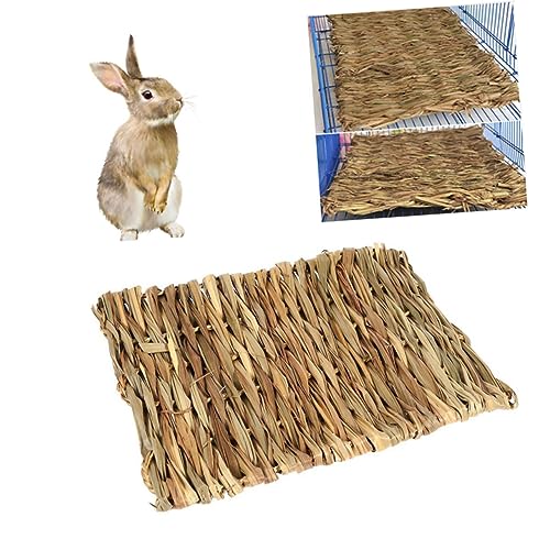 DOITOOL 2st Hamster Spielzeug Bodenmatte Meerschweinchen DOITOOL 2st Hamster Spielzeug Bodenmatte Meerschweinchen von DOITOOL