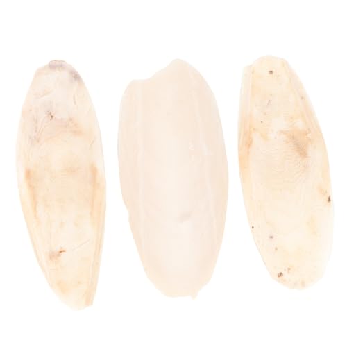 DOITOOL Haustier Kauen Molar Spielzeug 3 Stücke Sepiaschale Biss Spielzeug Papageien Wellensittiche Und Tiere DOITOOL Haustier Kauen Molar Spielzeug 3 Stücke Sepiaschale Biss Spielzeug Papageien Wellensittiche Und Tiere von DOITOOL