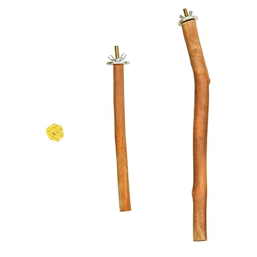 DOITOOL 3 Sätze Vogel Stehender Stock Papagei Spielset Aus Holz Haustierspielzeug Haustierzubehör Schleifstab Holzstange Nymphensittich-Spielzeug Vogelstangen Vogelkäfig Hölzern Geschält DOITOOL 3 Sätze Vogel Stehender Stock Papagei Spielset Aus Holz Haustierspielzeug Haustierzubehör Schleifstab Holzstange Nymphensittich-Spielzeug Vogelstangen Vogelkäfig Hölzern Geschält von DOITOOL