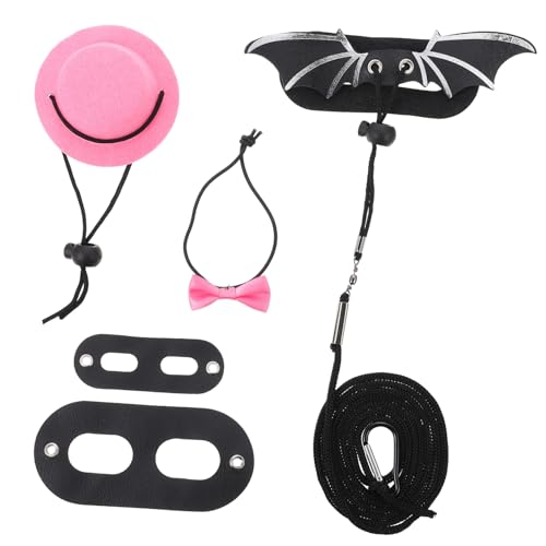 DOITOOL 4 Sets Drachen Leine Für Eidechsen Reptil Outdoor Leine Bearded Dragon Set DOITOOL 4 Sets Drachen Leine Für Eidechsen Reptil Outdoor Leine Bearded Dragon Set von DOITOOL