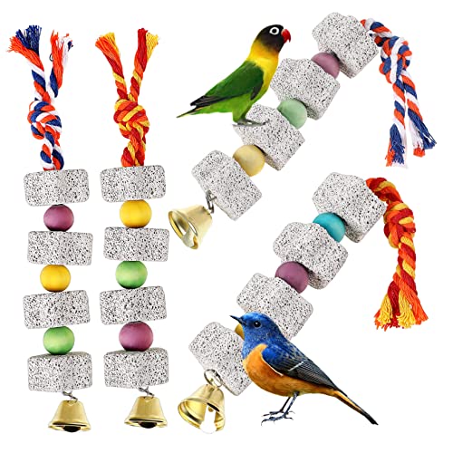 DOITOOL 4 Stück Backenzahn Hängespielzeug für Käfige Vogelschnabel Spielzeuge Papageienspielzeug für große Vögel Vogelspielzeug für Papageien Chinchilla Zubehör Snack von DOITOOL