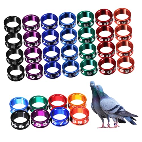 DOITOOL Robuste Metallbänder Für Vogelbeine 50 Sets Taubenbeine Nummerierte Hühnerbeinbänder Brieftaubenzubehör DOITOOL Robuste Metallbänder Für Vogelbeine 50 Sets Taubenbeine Nummerierte Hühnerbeinbänder Brieftaubenzubehör von DOITOOL