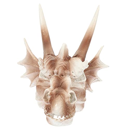DOITOOL Aquarium-schädel-Ornament Dinosaurier-schädel-Statue Aquarium-Drachen- Und Leicht Zu Reinigen DOITOOL Aquarium-schädel-Ornament Dinosaurier-schädel-Statue Aquarium-Drachen- Und Leicht Zu Reinigen von DOITOOL