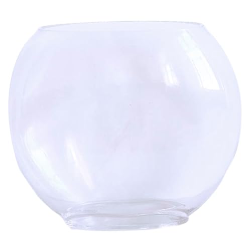 DOITOOL Elegantes Glas-Aquarium 25 cm Rund Mini-Aquarium-Set Multifunktionales Desktop-Betta-Aquarium DOITOOL Elegantes Glas-Aquarium 25 cm Rund Mini-Aquarium-Set Multifunktionales Desktop-Betta-Aquarium von DOITOOL
