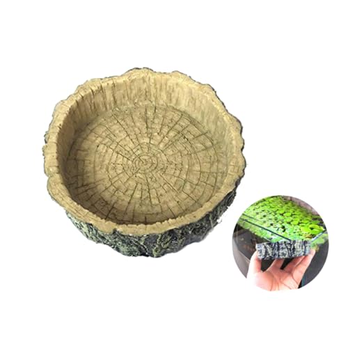 DOITOOL Futter- Und Wassernapf 10 X 10 X 2 5 cm Futternapf Für Reptilien Bequem Zu Reinigen Für Schildkröten Schlangen Geckos von DOITOOL