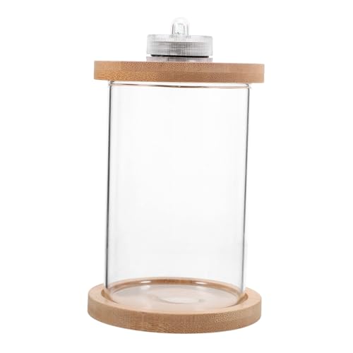 Glas Eimer Aquarium Schnecken Terrarium Led Holz Mit Lichtern von DOITOOL