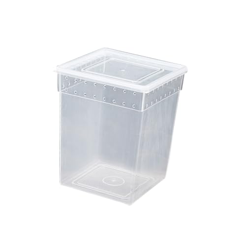 Kasten amphore Light isolirung solevernebler würfelunterlage leichte Futter Container luftige Terrarium für Reptilien Kletternder Futterbehälter für Haustiere gewidmet Inkubator von DOITOOL