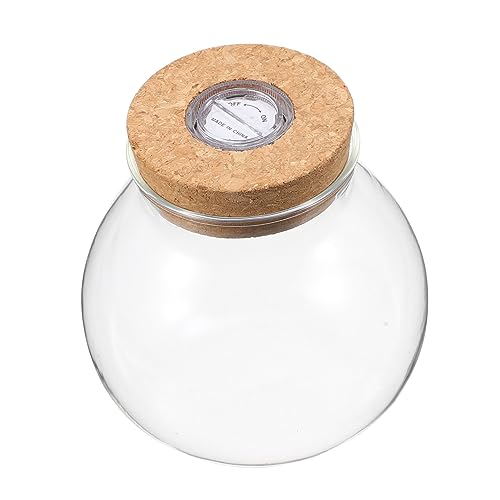 DOITOOL Landschaftsflasche Aquarium Mini-Rosen Terrarium-Kit für Ornament Glasgefäß mit Deckel Landschaftsbastelflasche Fischflasche groß Suite Sukkulente Pflanzen Seetang Einmachglas Holz DOITOOL Landschaftsflasche Aquarium Mini-Rosen Terrarium-Kit für Ornament Glasgefäß mit Deckel Landschaftsbastelflasche Fischflasche groß Suite Sukkulente Pflanzen Seetang Einmachglas Holz von DOITOOL