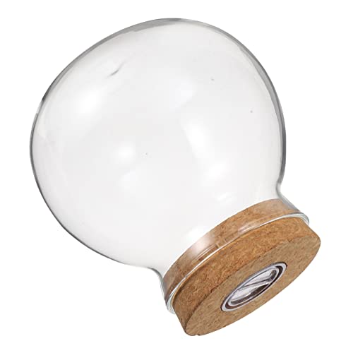 DOITOOL Landschaftsflasche Glasterrarium Terrarienglas Mit Deckel Ausbreitungsstationen Pflanzenvermehrungsbehälter Pflanzenständer Ökosphäre Einmachgläser Mini Holz Weiß Geschenkflasche DOITOOL Landschaftsflasche Glasterrarium Terrarienglas Mit Deckel Ausbreitungsstationen Pflanzenvermehrungsbehälter Pflanzenständer Ökosphäre Einmachgläser Mini Holz Weiß Geschenkflasche von DOITOOL