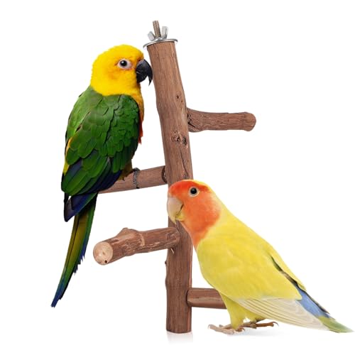 DOITOOL Papagei Trainings ständer Vogel Stehen Vogelstangen Stehen Ara Vogelkäfig Spielzeuge Papageienbarsch Vogelstangen aus Holz Langen Schwanz Wellensittich Gemüsezange von DOITOOL