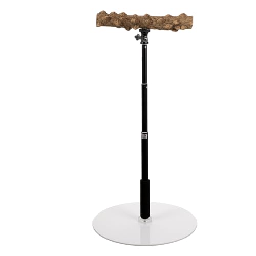 DOITOOL Trainings-sitzstange Für Papageien Vogel-sitzstange Mit Natürlichem Holz Und Metall Vogel-spielständer Für Papageien Vögel Und Sittiche DOITOOL Trainings-sitzstange Für Papageien Vogel-sitzstange Mit Natürlichem Holz Und Metall Vogel-spielständer Für Papageien Vögel Und Sittiche von DOITOOL