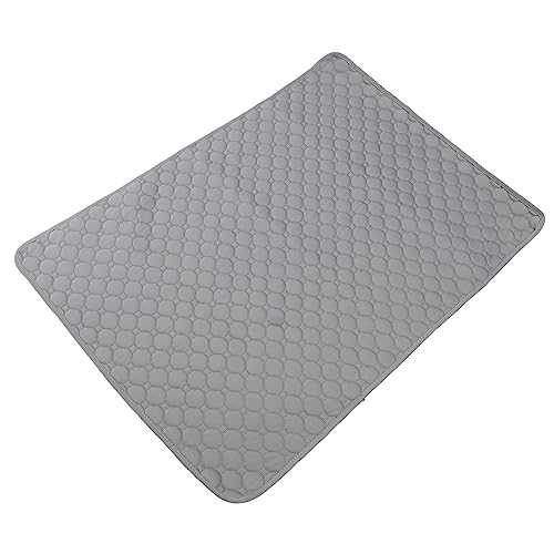 DOITOOL Pet Pee Pad Wiederverwendbare Käfigeinlagen Guinea-Bettwäsche Haustier Welpe Auskleidungen für Hamsterkäfige verschleißfeste Trainingspads der Hund Trainingsmatte Kleine Tiere DOITOOL Pet Pee Pad Wiederverwendbare Käfigeinlagen Guinea-Bettwäsche Haustier Welpe Auskleidungen für Hamsterkäfige verschleißfeste Trainingspads der Hund Trainingsmatte Kleine Tiere von DOITOOL