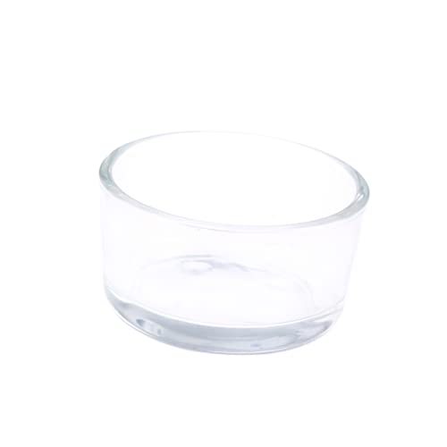 DOITOOL Glas-futternapf für Reptilien Runde Form Futternapf für Schildkröten Futternapf für Reptilien Futternapf für Haustiere DOITOOL Glas-futternapf für Reptilien Runde Form Futternapf für Schildkröten Futternapf für Reptilien Futternapf für Haustiere von DOITOOL