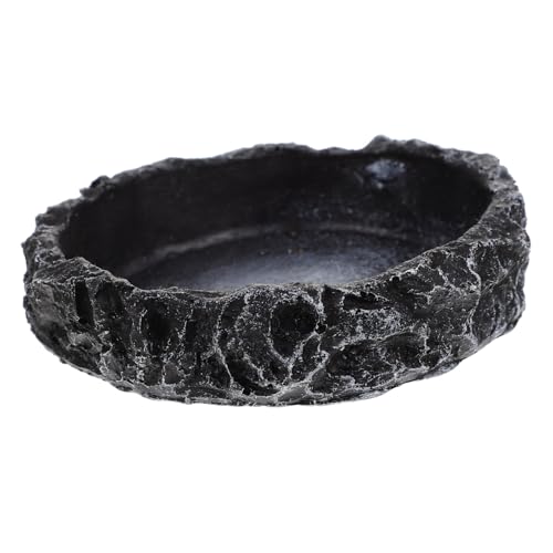DOITOOL 8x8x2cm Harz Schildkröte Feeder Dekorative Reptil Wasser Schüssel Sicher für Eidechsen Schlangen Schildkröten Pet Supplies DOITOOL 8x8x2cm Harz Schildkröte Feeder Dekorative Reptil Wasser Schüssel Sicher für Eidechsen Schlangen Schildkröten Pet Supplies von DOITOOL