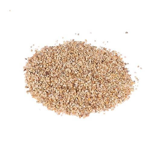 DOITOOL Aquariumkies 500g Aquariumsand Steinbodensand Natürliche Dekoration für Aquarien DOITOOL Aquariumkies 500g Aquariumsand Steinbodensand Natürliche Dekoration für Aquarien von DOITOOL