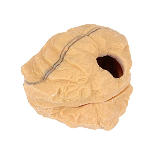 DOITOOL Leopard Gecko Höhle Reptil Versteck Moos Crawler Bett Liefert Wüste Powerlong Größe S von DOITOOL