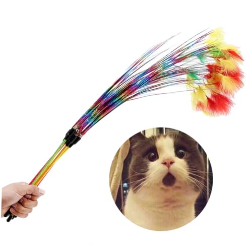 DOITOOL Interaktives Katzenspielzeug Mit Bunten Federn Und Glöckchen Farbige Regenbogen-katzenangel Für Spaß Und Geeignet Für Katzen Und Kätzchen Zufällige Farben von DOITOOL