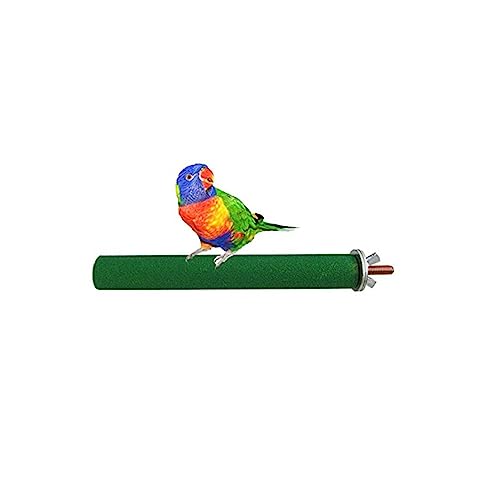 DOITOOL Spielzeug für Sittiche Spielzeuge Vogelständergestell Papageienständer Zweigstangen für Vögel Vogelkäfig Vogel liefert Beißstock Vogelregal DOITOOL Spielzeug für Sittiche Spielzeuge Vogelständergestell Papageienständer Zweigstangen für Vögel Vogelkäfig Vogel liefert Beißstock Vogelregal von DOITOOL