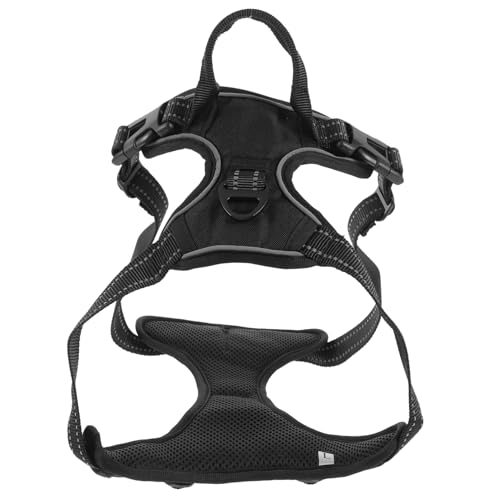 DOITOOL Sportkamera Brustgurt Für Hunde Verstellbares Kamerabänder Geschirr Outdoor Hundetransportgeschirr Für Kameramontage DOITOOL Sportkamera Brustgurt Für Hunde Verstellbares Kamerabänder Geschirr Outdoor Hundetransportgeschirr Für Kameramontage von DOITOOL