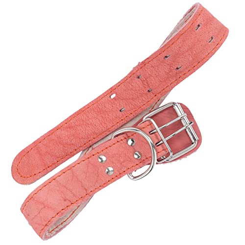 DOITOOL Stilvolles Haustierhalsband Für Hunde Ab 8 Wochen Bequemes Hundehalsband Für Mittelgroße Bis Große Hunde von DOITOOL